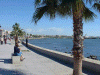 https://www.villa-rentals-cyprus.com